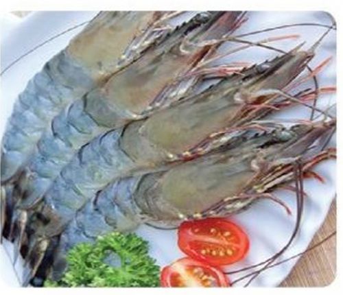 HOSO BODY PEELED BLACK TIGER