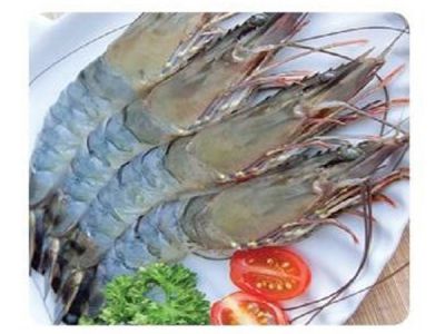 HOSO BODY PEELED BLACK TIGER