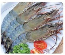 HOSO BODY PEELED BLACK TIGER